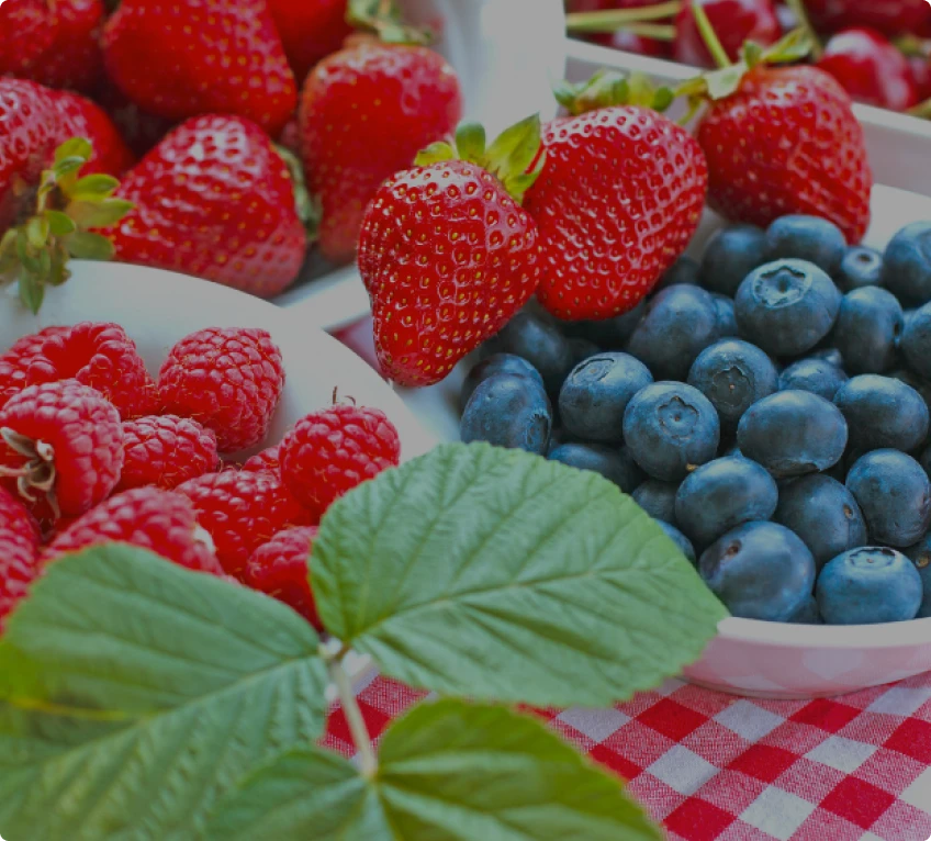 The role of antioxidants in skincare